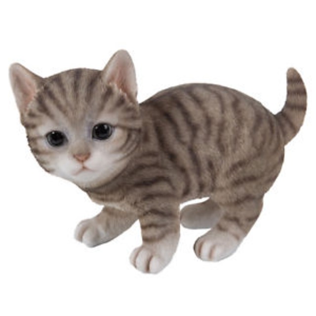 【送料無料】グレーライフサイズ＃；grey tabby kitten cat playing  collectible statue life size 8034;l 