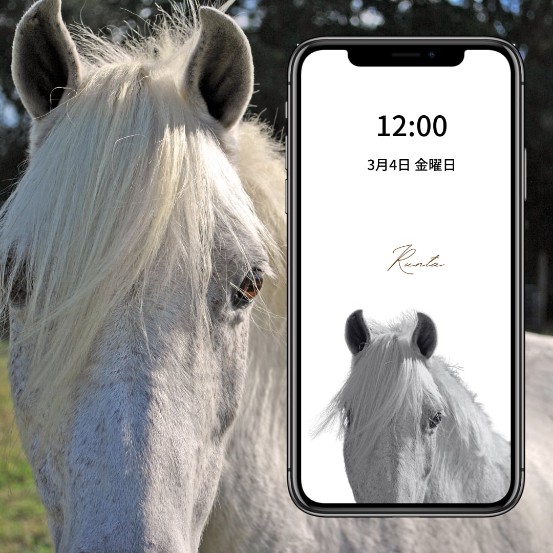 うちの子似顔絵待ち受け オーダーメイド待受 名入れok 即日納品 乗馬用品店レクシア