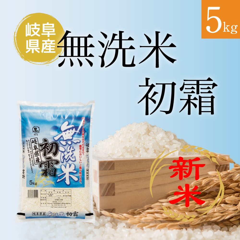 米 30kg 一等米 ハツシモ 岐阜県産 白米 (5kg×真空パック6袋) 令和5