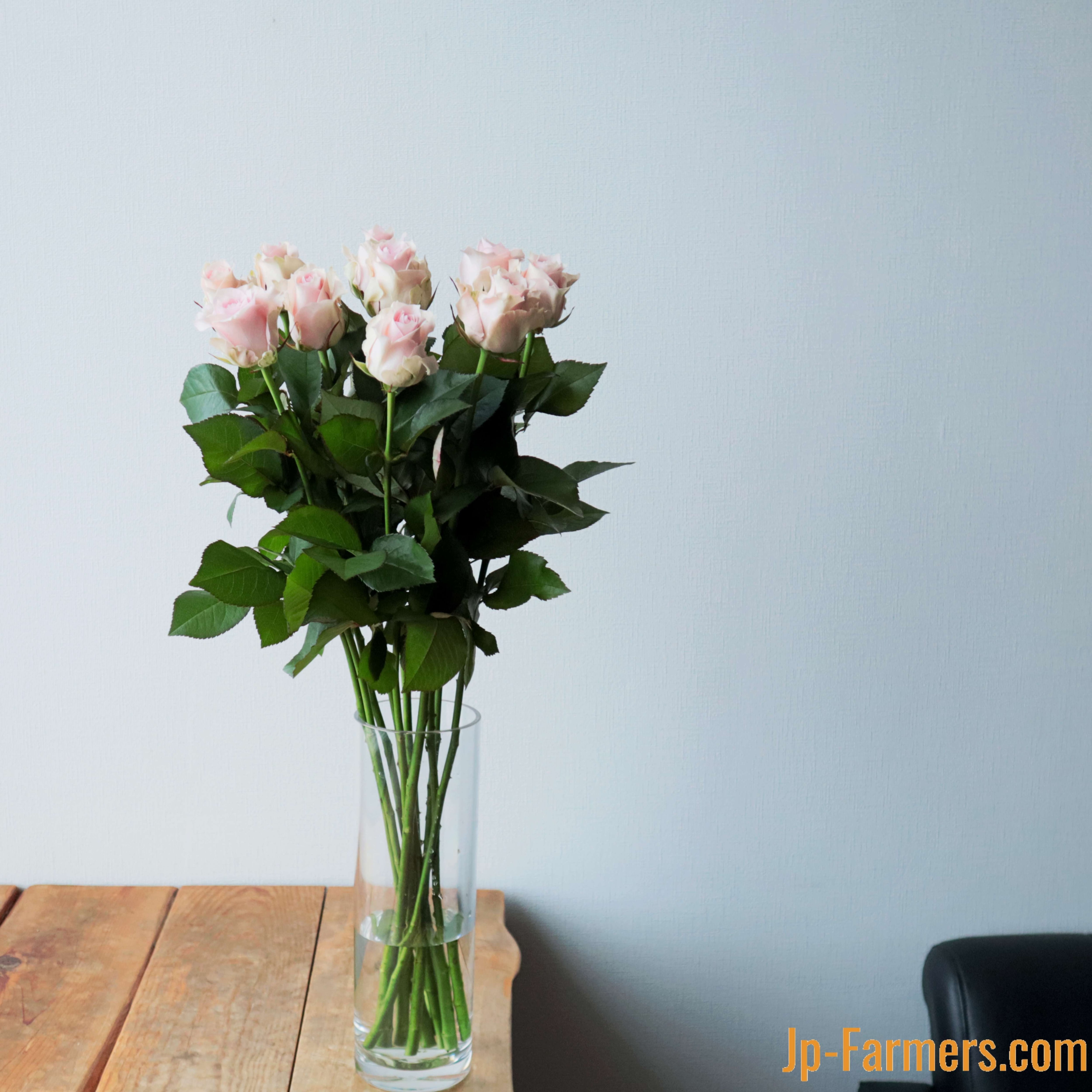 神田ばら園 バラ（リメンブランス） 10本 | 新鮮お花問屋 Jp-Farmers.com