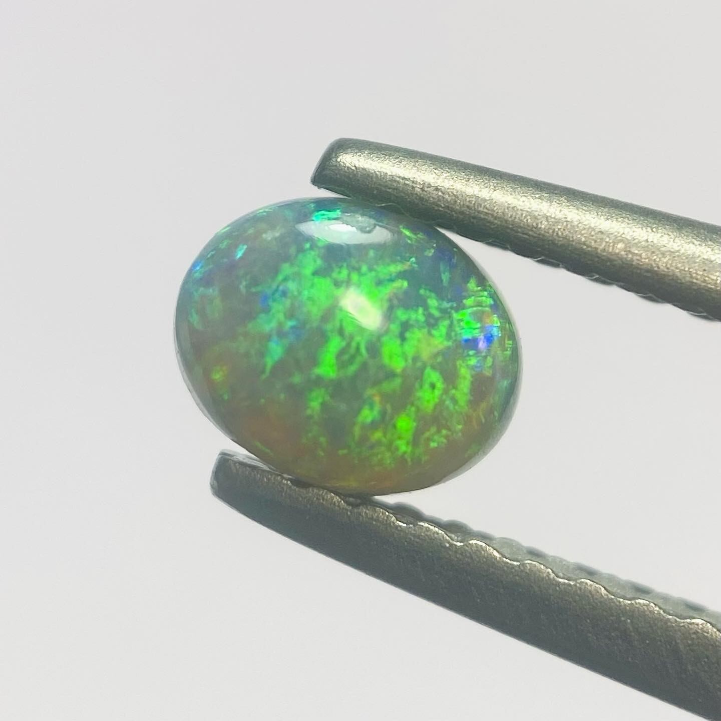 モネの庭 ブラックオパール