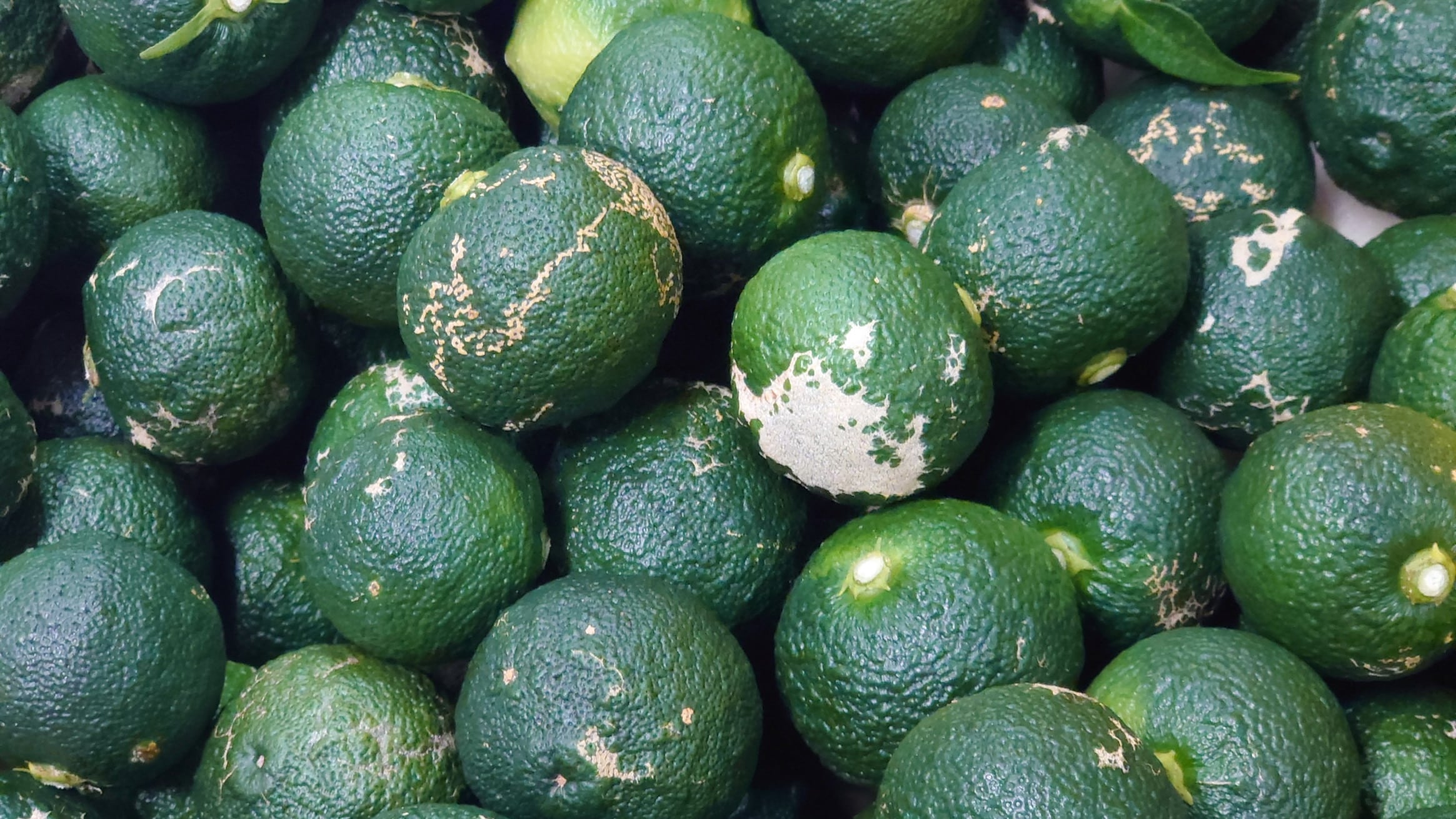 d28c1ce376dc7c2483afa160b1e896