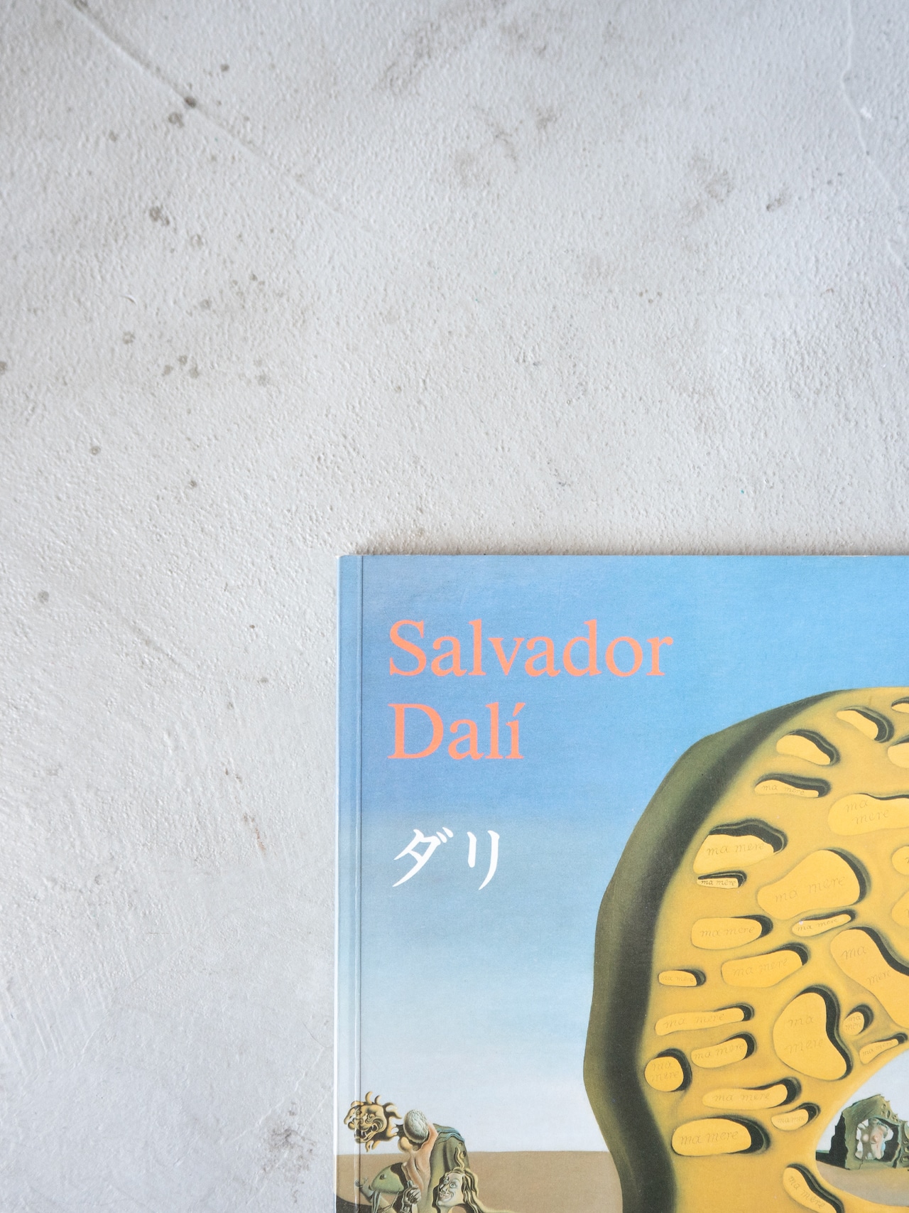 "Salvador Dalí" vintage Art book