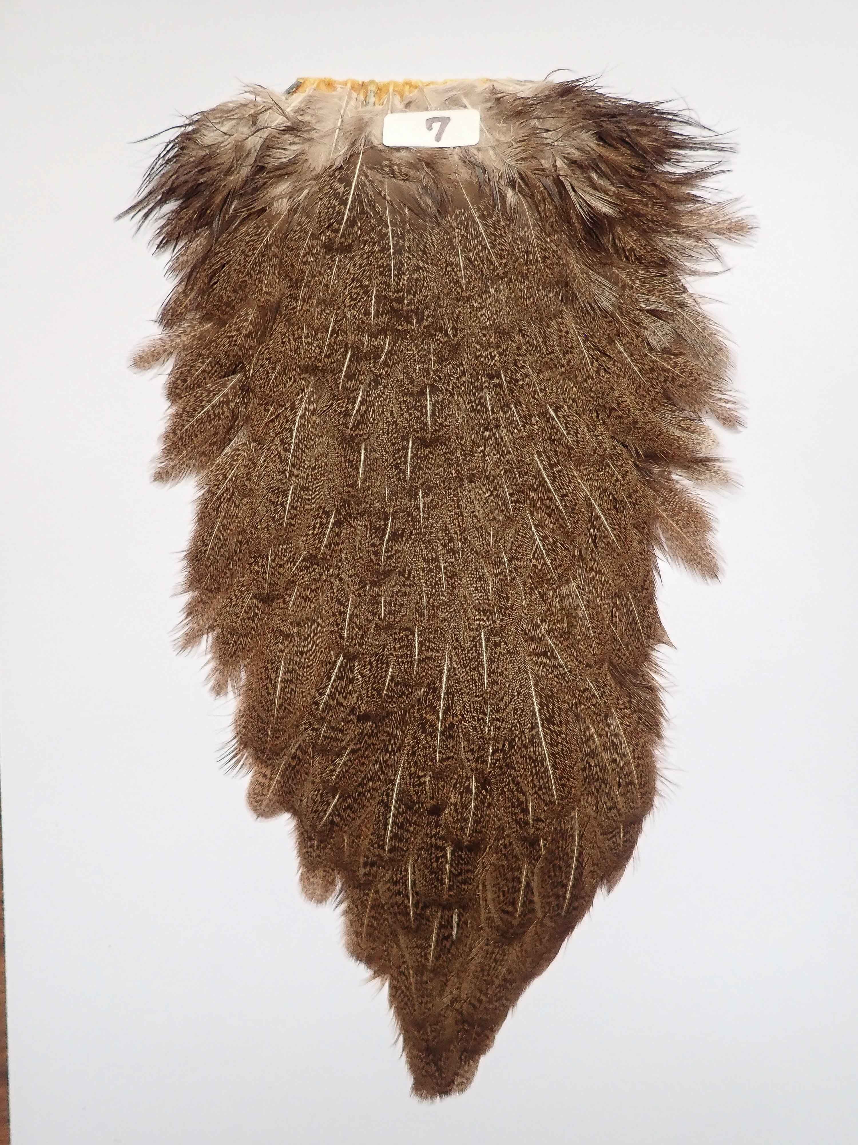 HEN SADDLE HACKLE | Anglefield Fly Supplies