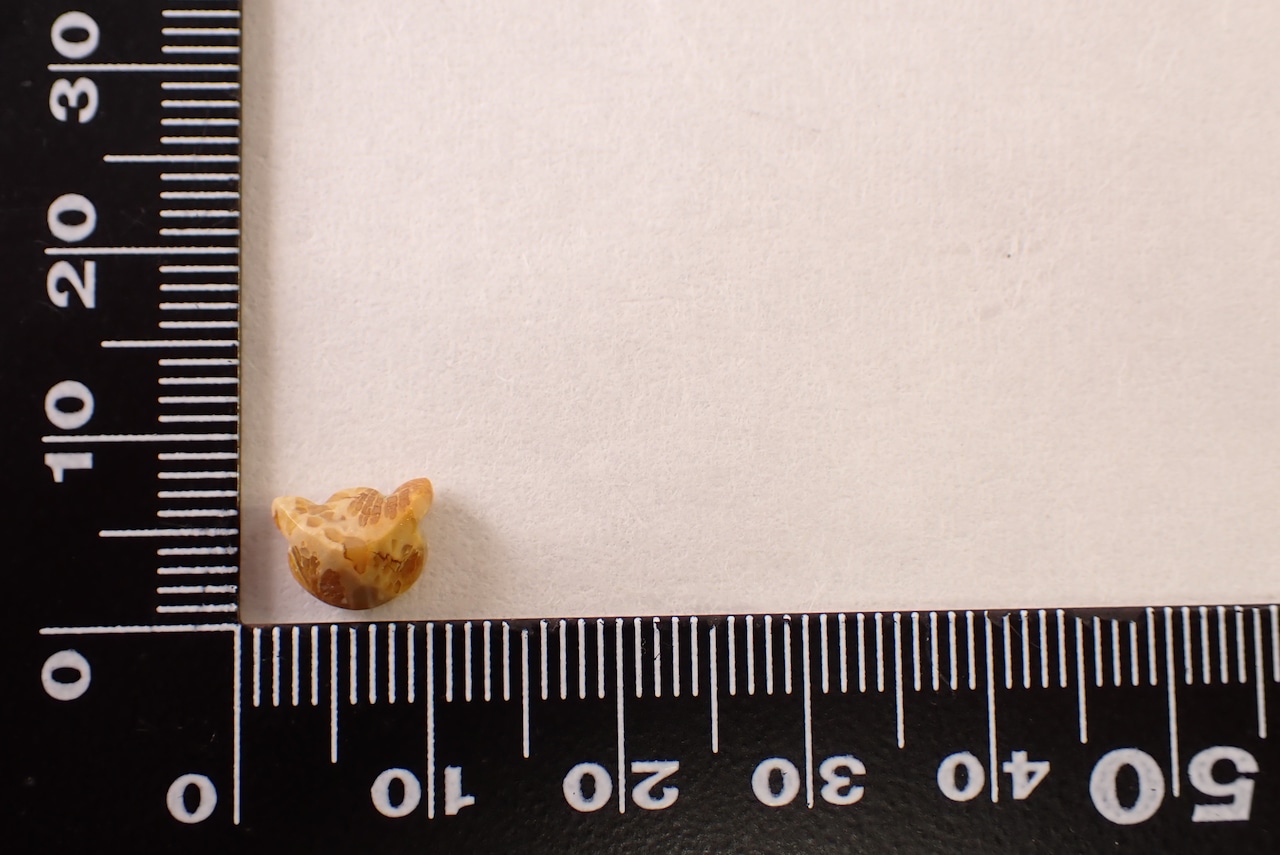 フォッシルコーラル(猫カット)　1.62ct　[D11‐529]