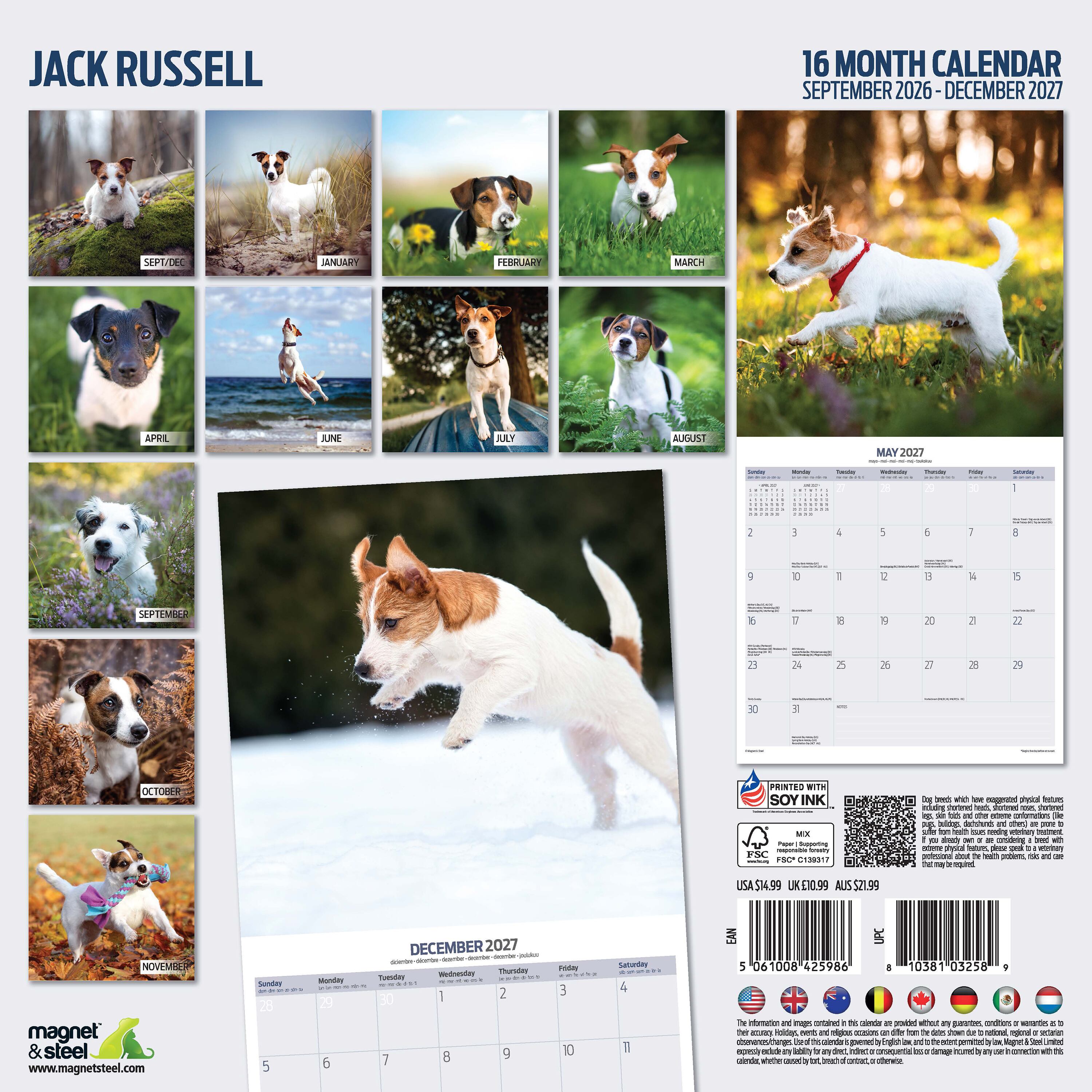 【2027年版】英国製犬種カレンダー【ジャック・ラッセル】Traditional 2027年版