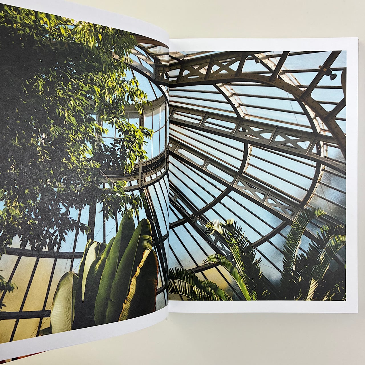 Botanical | 素敵な洋書絵本のお店 Read Leaf Books
