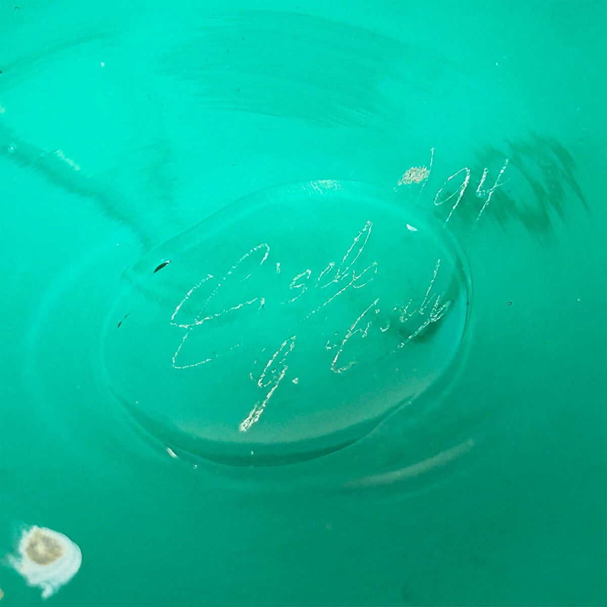 Erwin Eisch art glass flower vase | PANIC ART MARKET