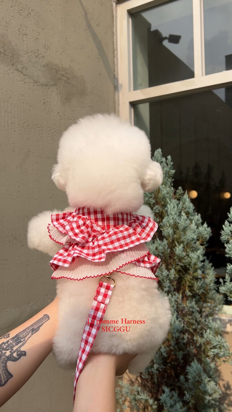 〈 即納アイテム〉SICGGU / ラポムハーネス(レッドギンガム)