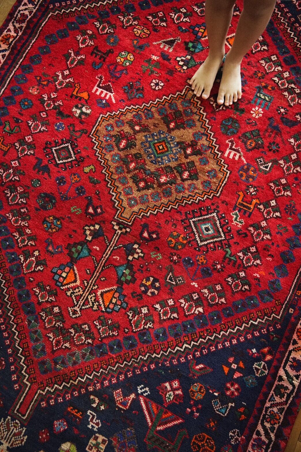 307 -Vintage Qashqai rug