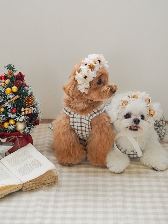 〈予約アイテム〉Drops Flora Crown - Christmas ver. White