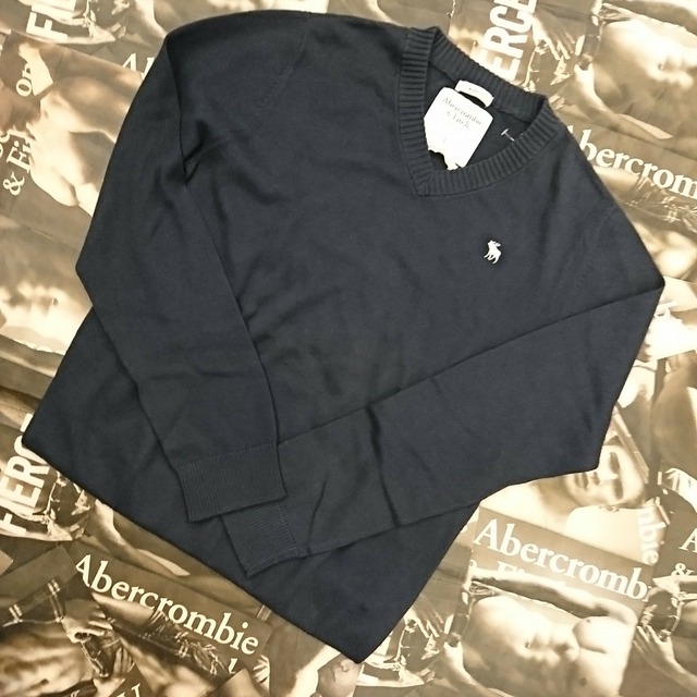 Abercrombie&Fitch メンズVネックセーターLサイズ