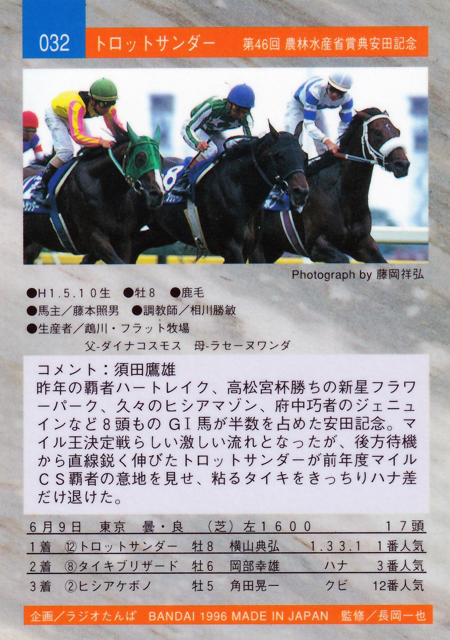 トロットサンダー 1996年安田記念 現地的中単勝馬券 馬券 96安田記念(1着)