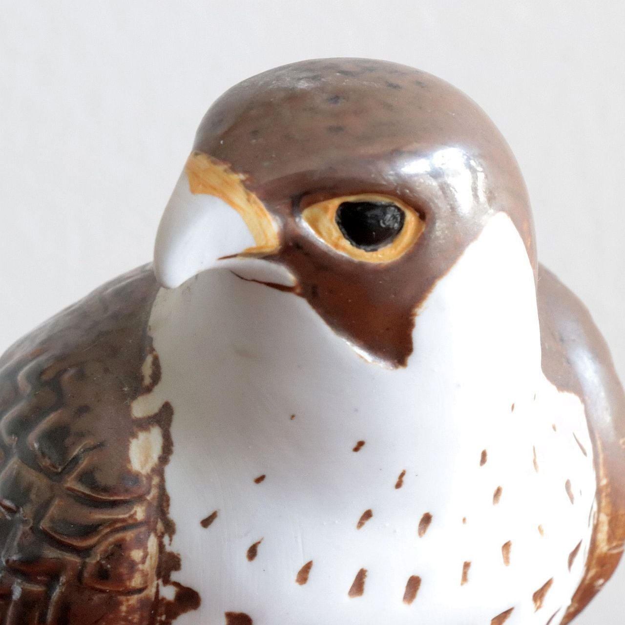 c8347】ハヤブサ（Pilgrimsfalk / Peregrine Falcon） /WWF ［Lisa
