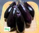 【3㎏】南国高知で育った高知なす♪