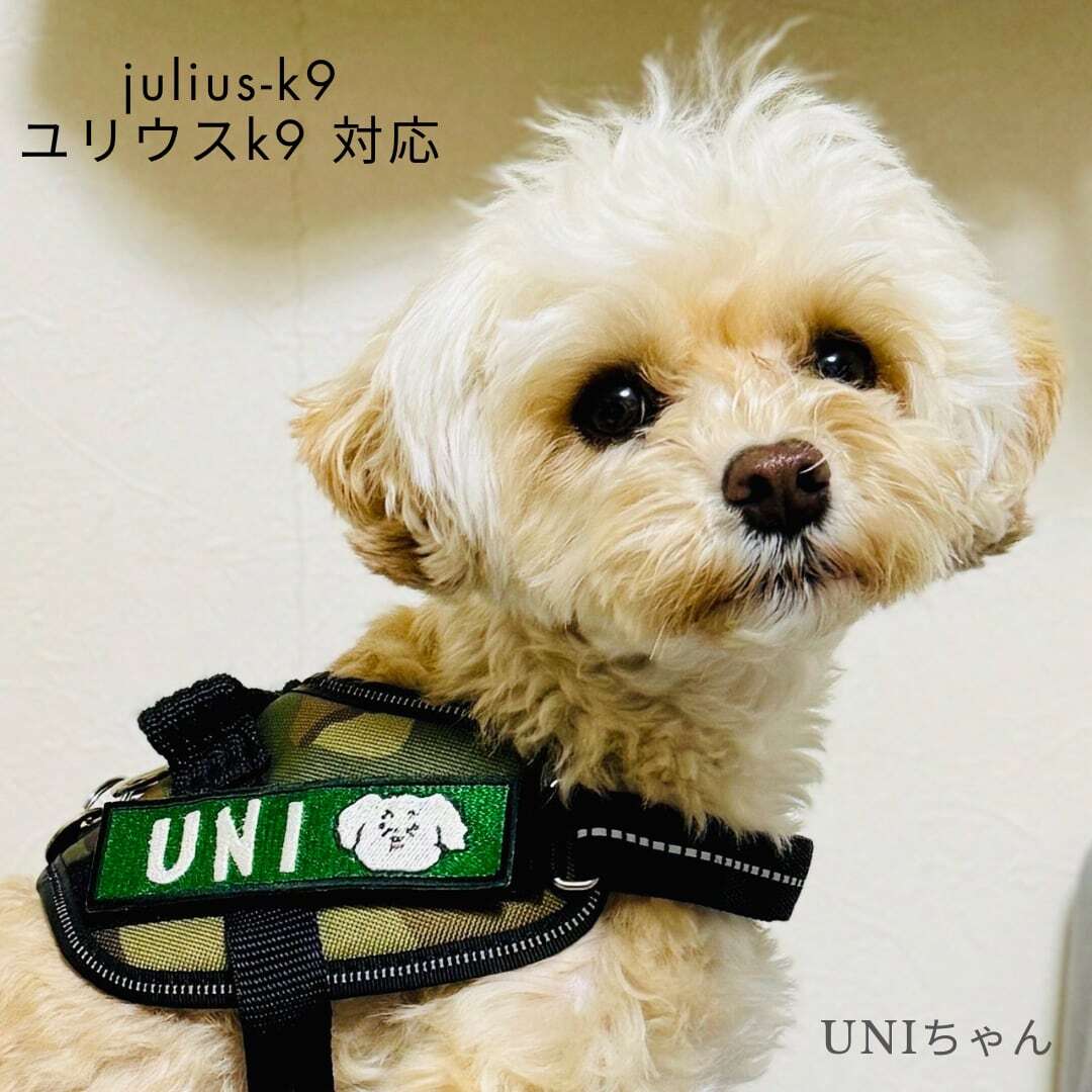 エルメスミニクロシェットドッグネームタグペットタグミニチャーム