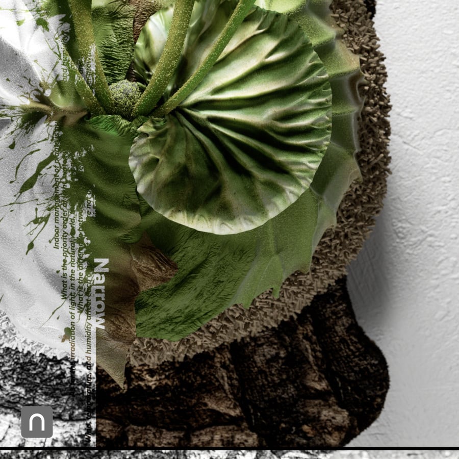 ビカクシダ リドレイポスター【Narrow】A4 | PIXEL.ORDER