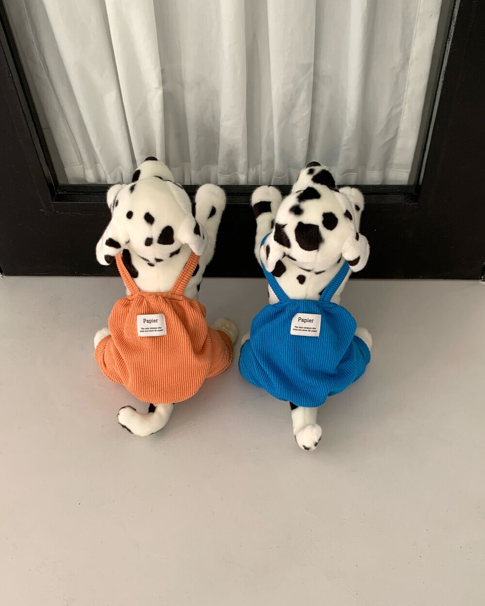 S.M.L/即納【papier】Vivid All-in-One (2color)