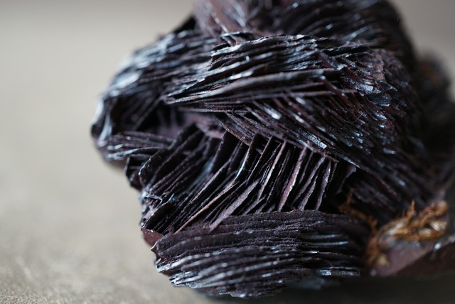 アイアンローズ/クォーツ Iron Rose/Quartz 1908