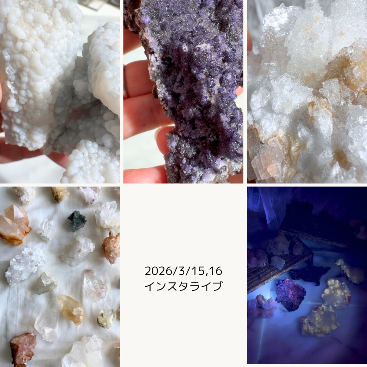 mayu_ru12さま専用出品 3/15,16ライブ分