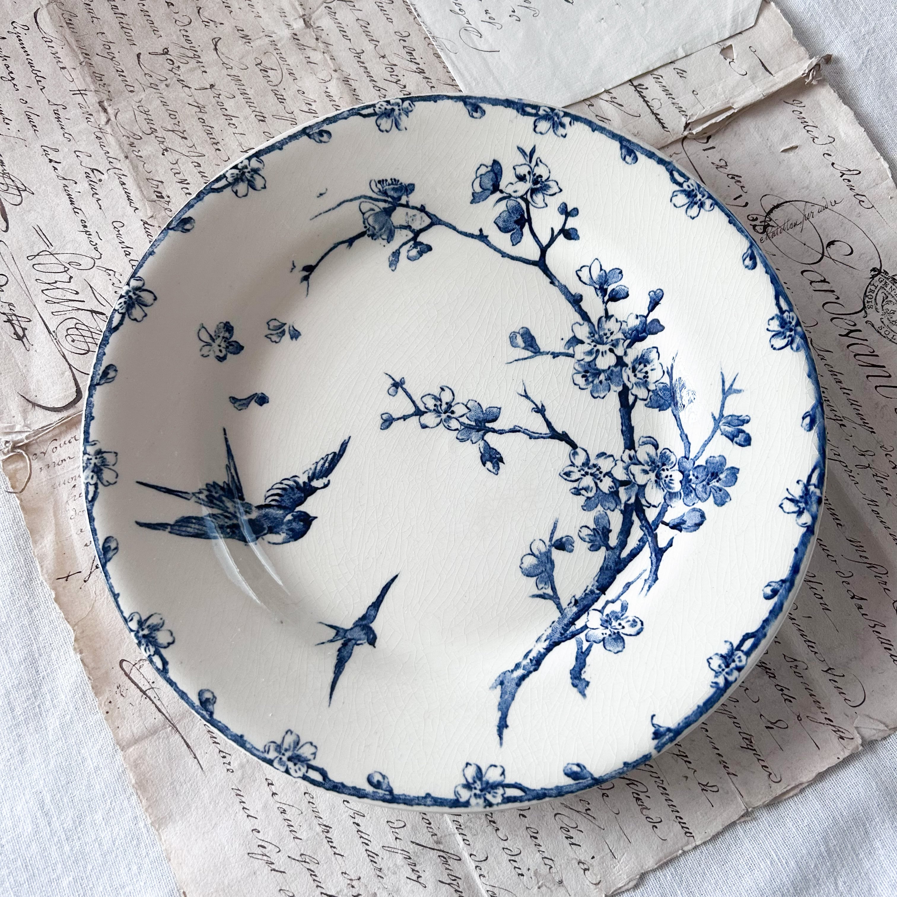 ｱﾝﾃｨｰｸ ﾎﾞﾝﾇ ｼｬﾝｽ