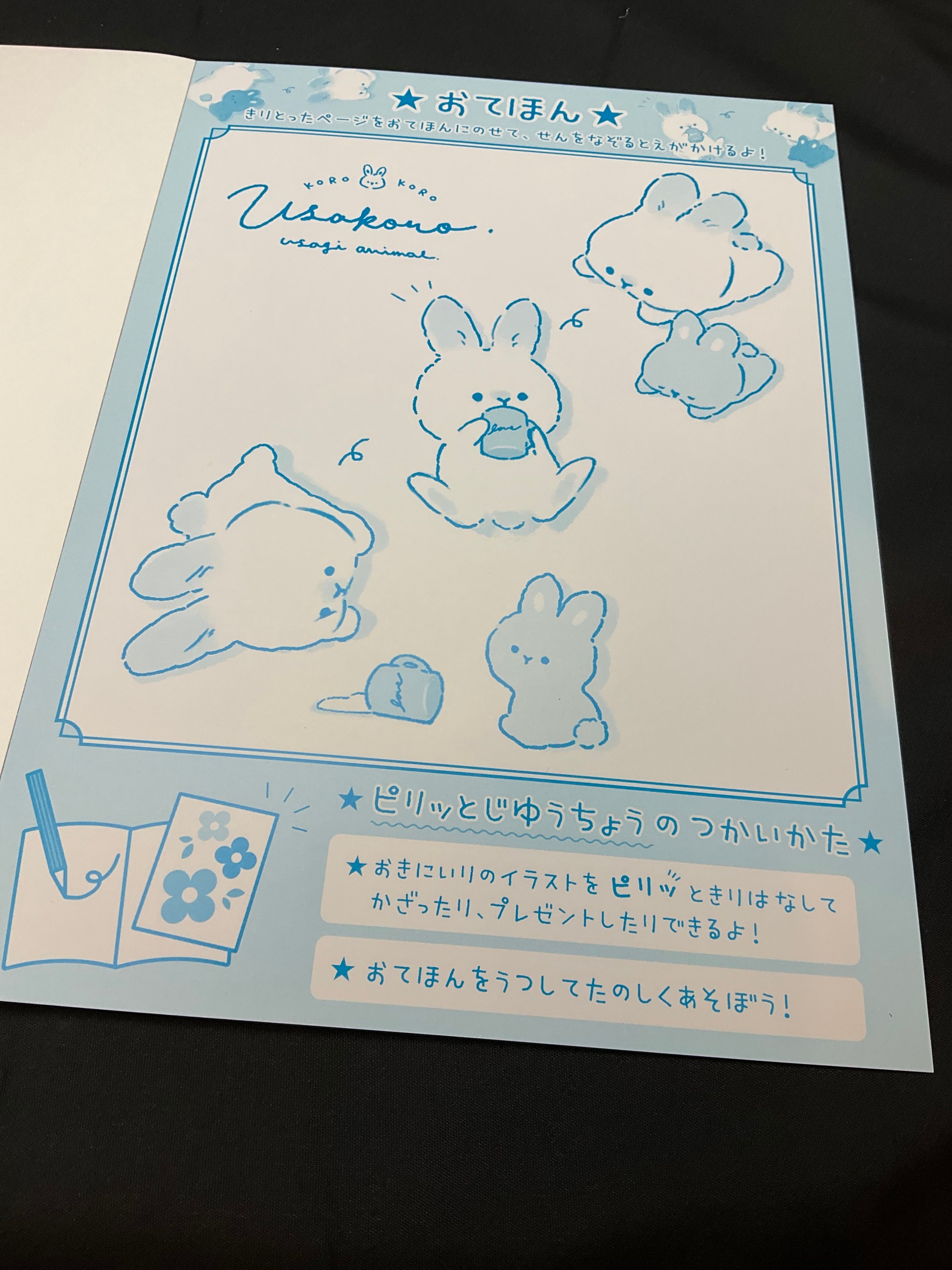 ころころ☆様♡ご確認ページ ニュートン