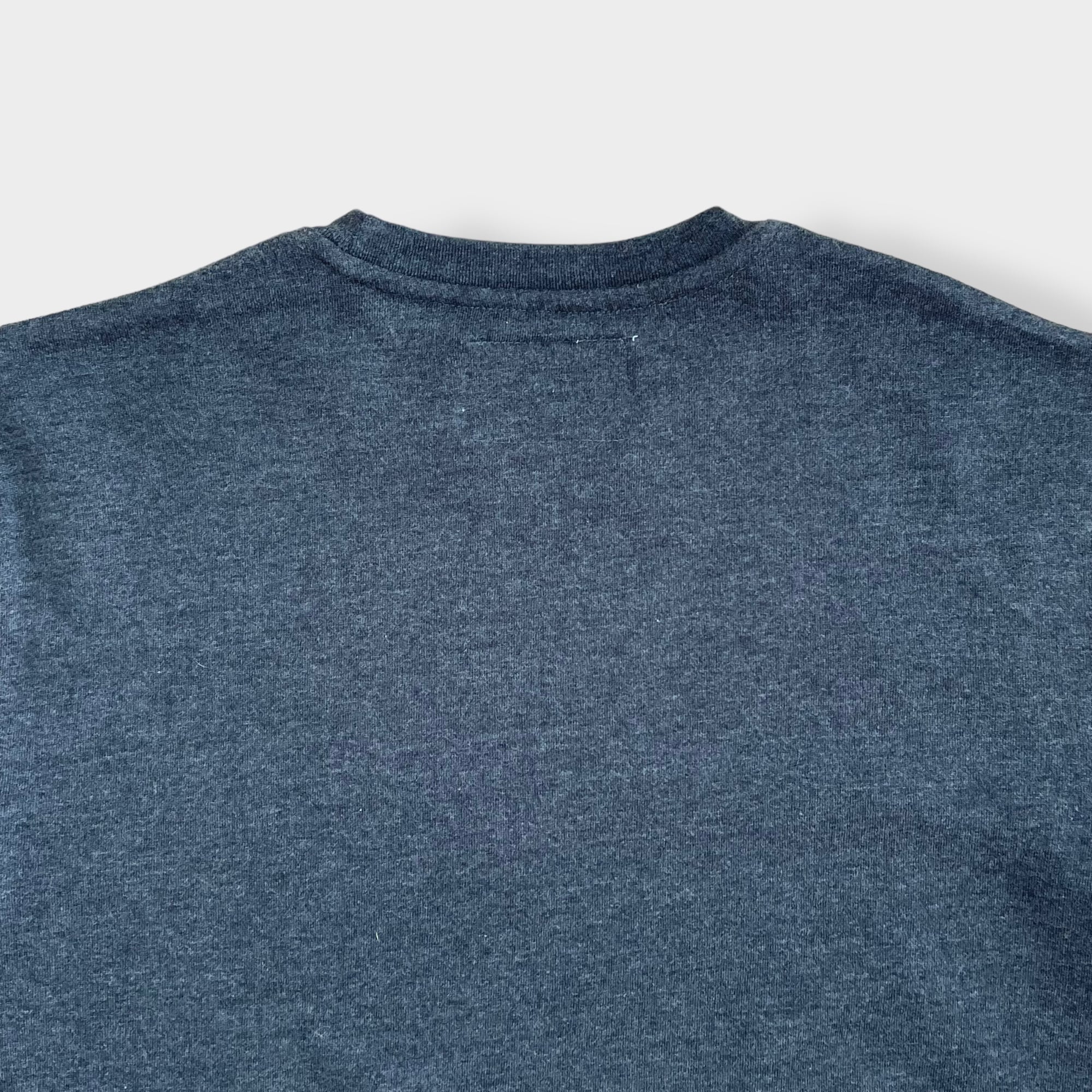 VARSITY】カレッジロゴ オハイオ州立大学 バックアイズ フットボール