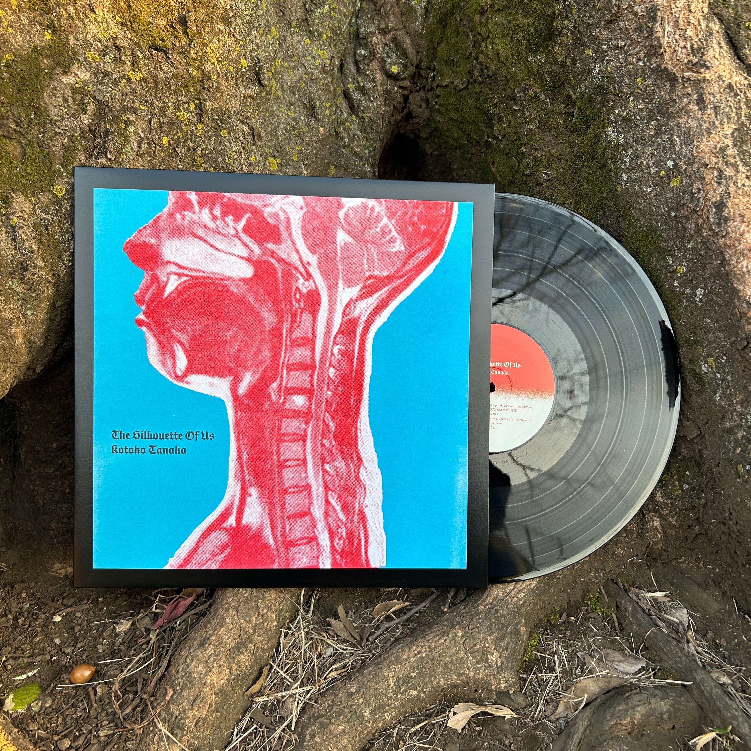 Kotoko Tanaka / The Silhouette Of Us (LP) | TESTCARD RECORDS