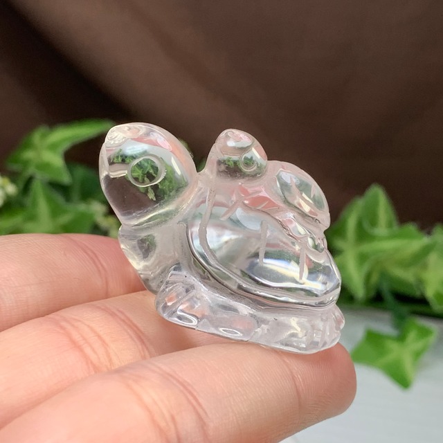 2.透明度高☆親子亀水晶☆