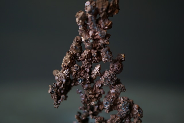 カザフスタン産自然銅  Native Copper 1889