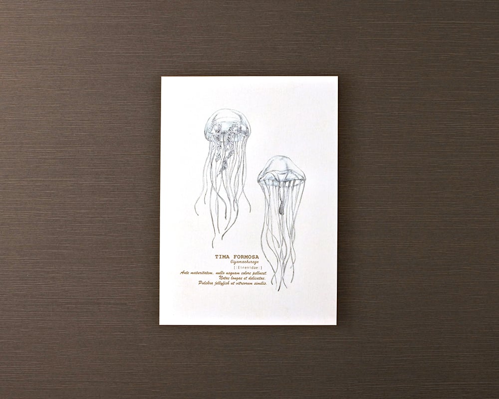 スタダ 雪明 直筆メッセージカード ポストカード〔ギヤマンクラゲ〕