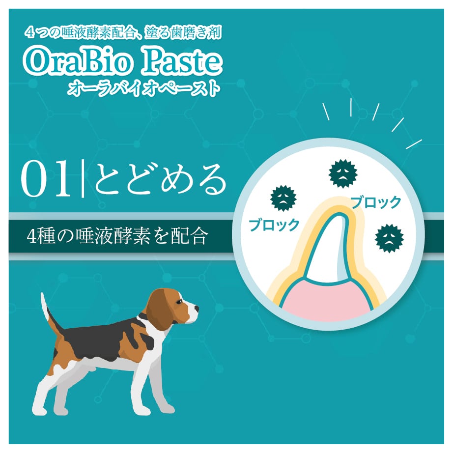 オーラバイオペーストPRO [無香料]（4種の唾液酵素&乳酸菌培養エキス