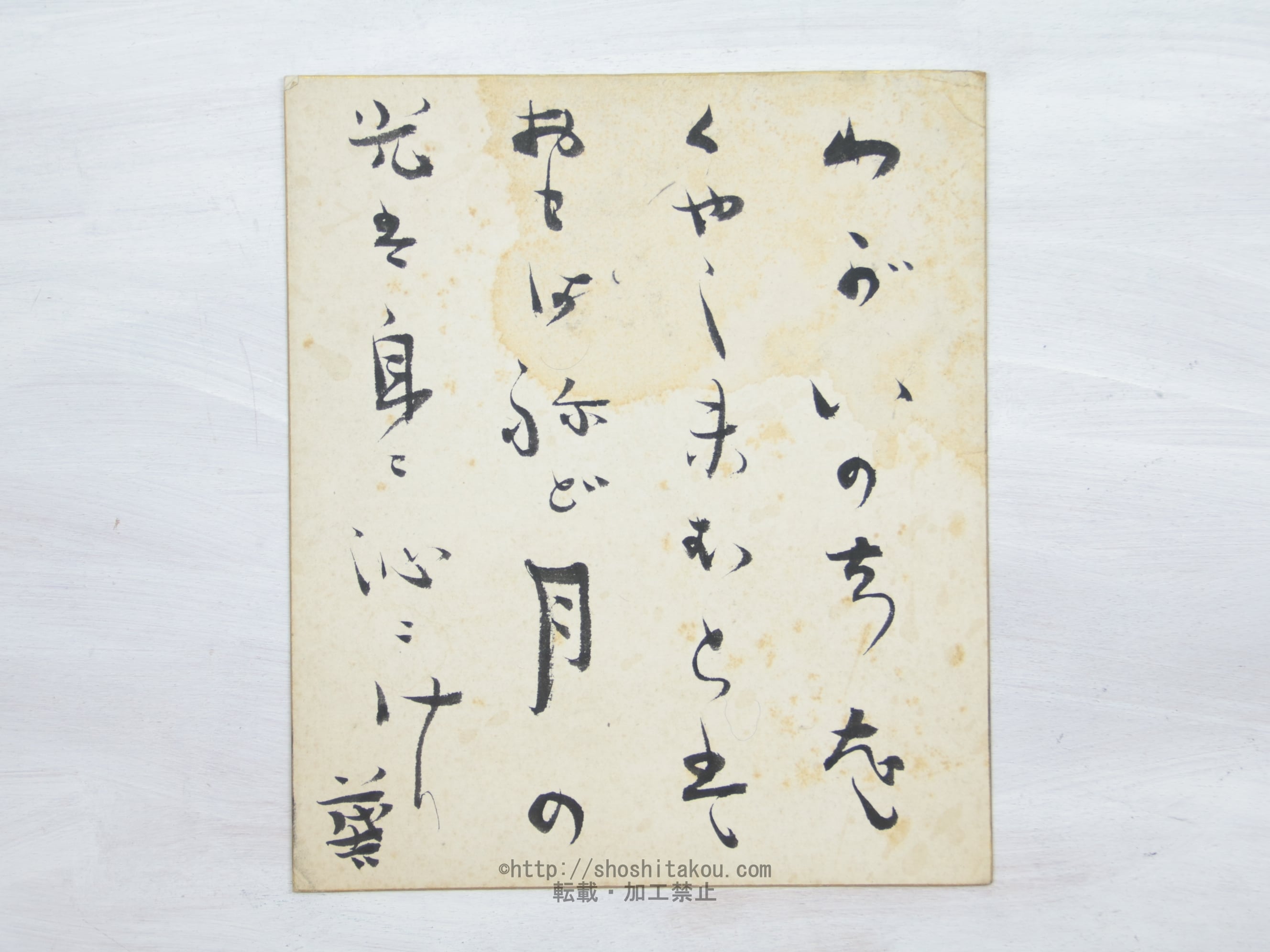 斎藤茂吉小色紙 / 斎藤茂吉 [33978] | 書肆田高