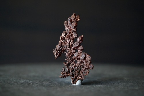 カザフスタン産自然銅  Native Copper 1889