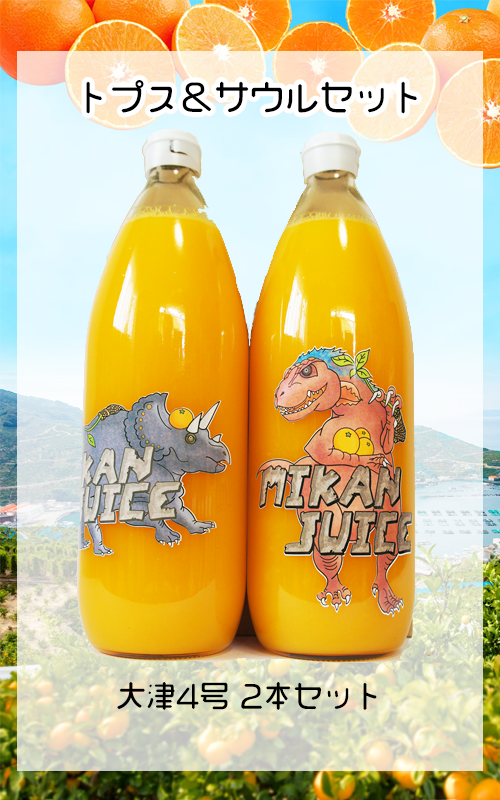 【2本入り】みかんジュース サウル&トプス