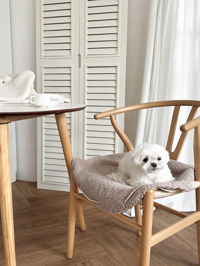 カフェマット&バッグ2WAY - 1color