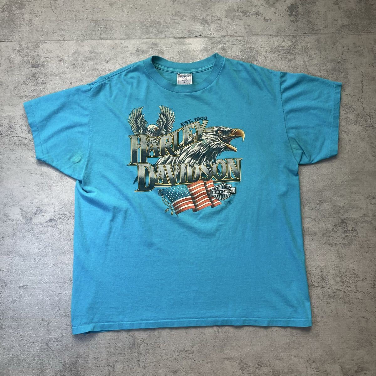 00s USA製 Harley-Davidson ヘンリーネック HOLOUBEK M ハーレー