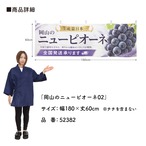 【受注生産】横幕 ポンジ 岡山のニューピオーネ02 180×60cm 52382