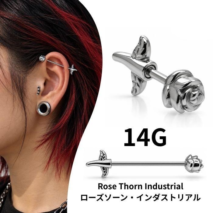 14G ANATOMETAL 限定商品/Limited Item アナトメタルのベゼルセット