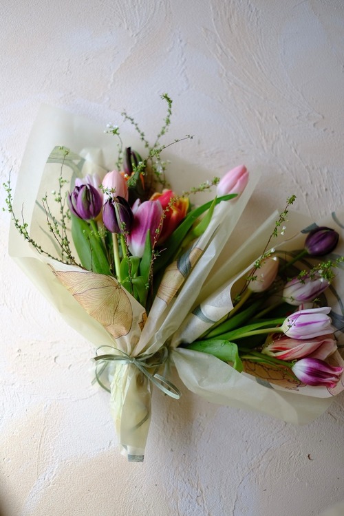 季節の枝とチューリップ便［2/13(金)14(土)15(日)16(月)店舗受取り］