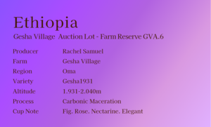 Ethiopia﻿ ﻿- Gesha Village   ″ Farm Reseve GVA.6 ″  100g