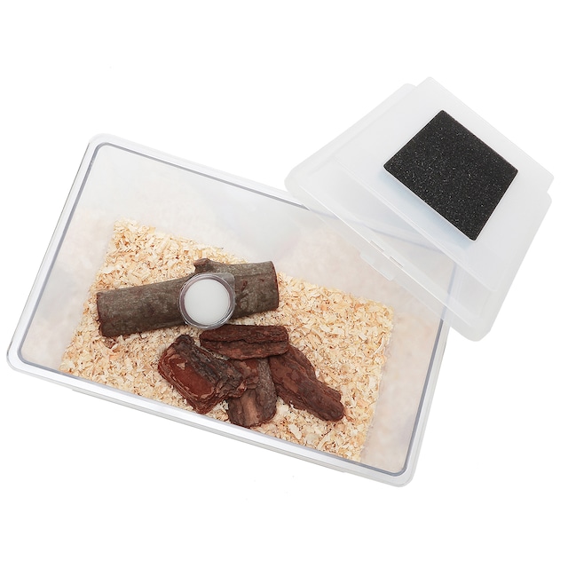 飼育スタートセット / 初心者向け / (Beginner's breeding set)