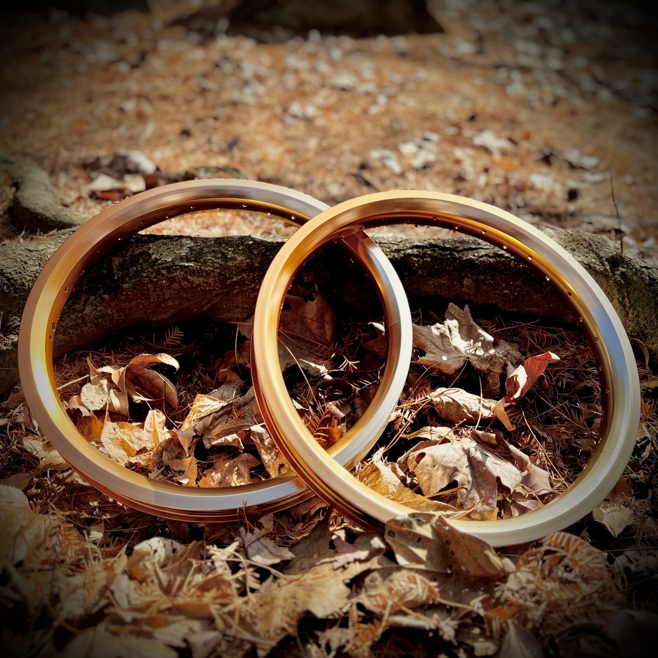 DELTΔ BMX ALLOY WIDE RIM【LIMITED】2PCS/SET
