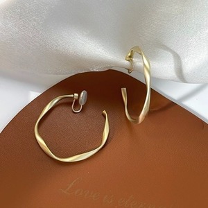 Irregular Circle Earrings & pierce 122569