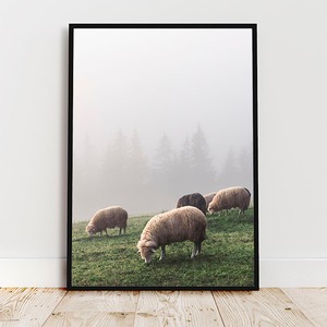 霧に包まれた春の山の羊の群れ / アートポスター 風景写真 山 牧草地 アートプリント 2L〜 自然 ウクライナ