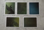 藤田はるか 写真集"Torikumo"【特装版】オリジナルプリント(美濃和紙）1点付き no.3 thumbnail 11