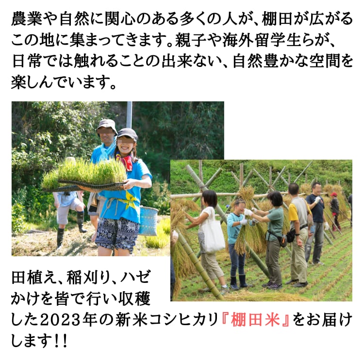 令和4年度産】河原さんのお米　玄米20kg　河原農園)　自然農法(岡山県　産地直送