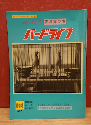 バードライフ（小鳥の総合誌　愛鳥家の友）昭和53年7月　暑中号No.7