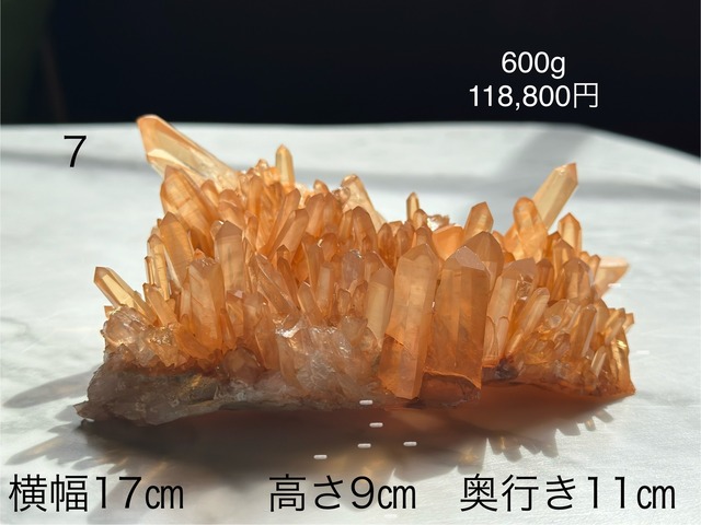 〜優先販売〜招きクリスタル7