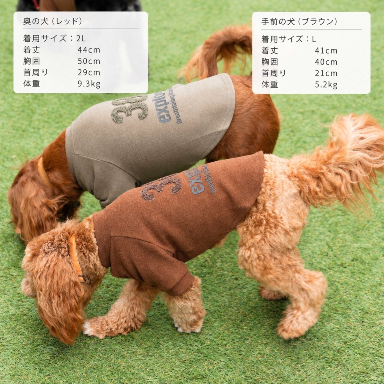 38DOG LOGO EMBROIDERY TEE / KAHKI